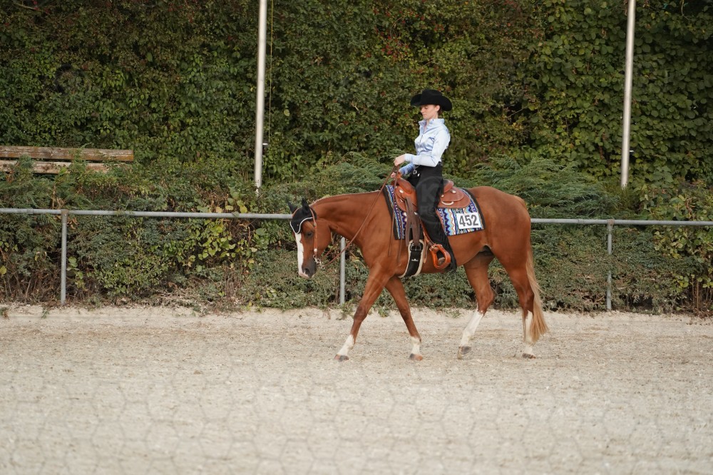 s_A_907050.JPG